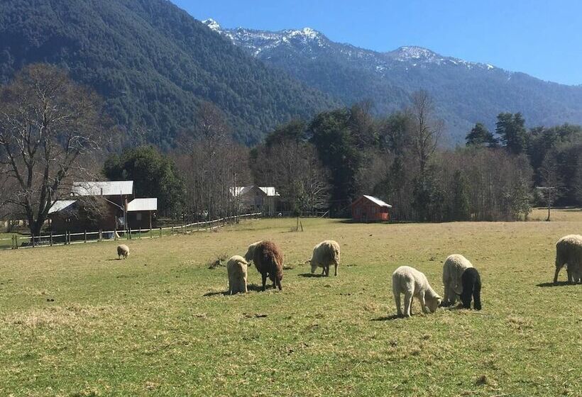 پانسیون Cabana 4 Personas En Hermoso Paisaje En Pucon