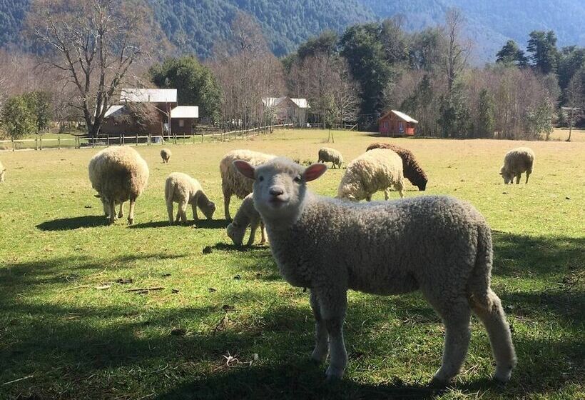 پانسیون Cabana 4 Personas En Hermoso Paisaje En Pucon