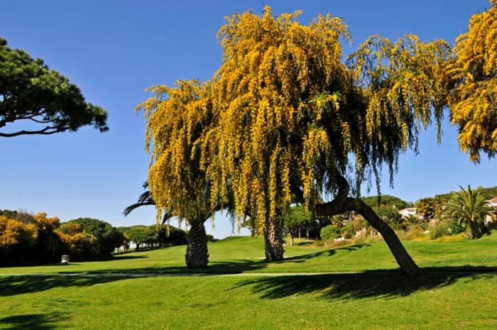 펜션 Casa Vale Do Lobo 114   Great Townhouse Few Minutes Walk From Beach Praca
