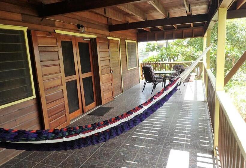 پانسیون Driftwood Gardens Guesthouse