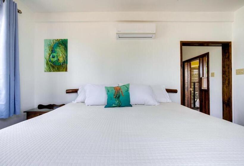 پانسیون Driftwood Gardens Guesthouse