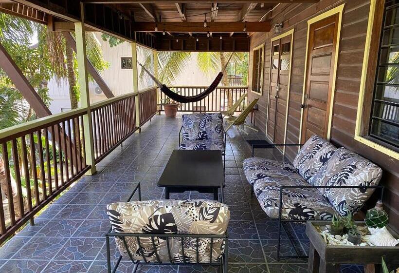 پانسیون Driftwood Gardens Guesthouse