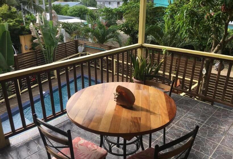 پانسیون Driftwood Gardens Guesthouse