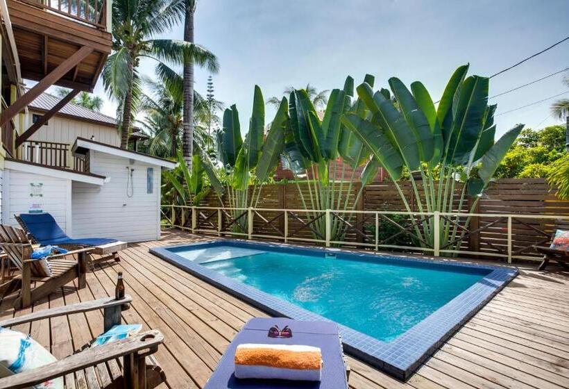 پانسیون Driftwood Gardens Guesthouse