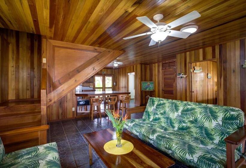 پانسیون Driftwood Gardens Guesthouse
