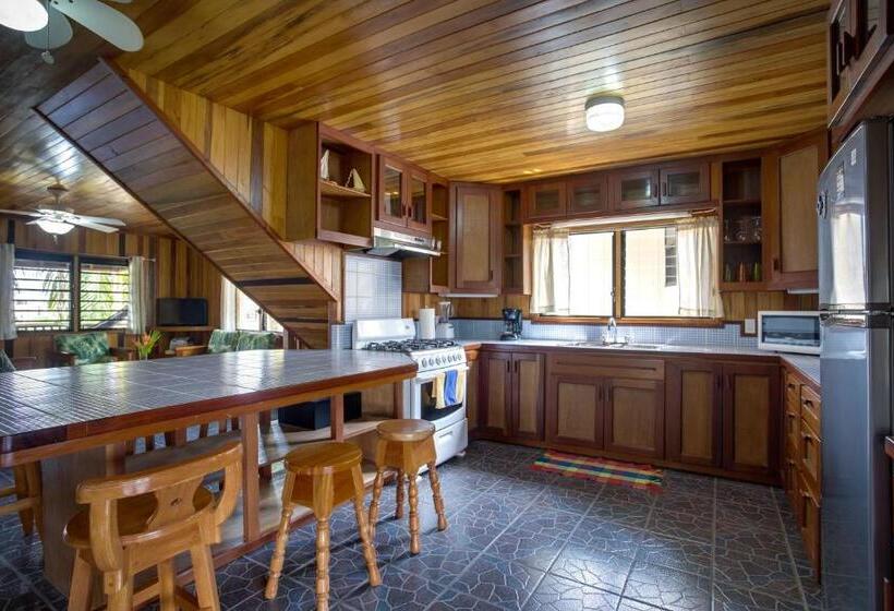 پانسیون Driftwood Gardens Guesthouse