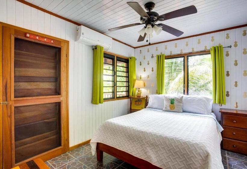 پانسیون Driftwood Gardens Guesthouse