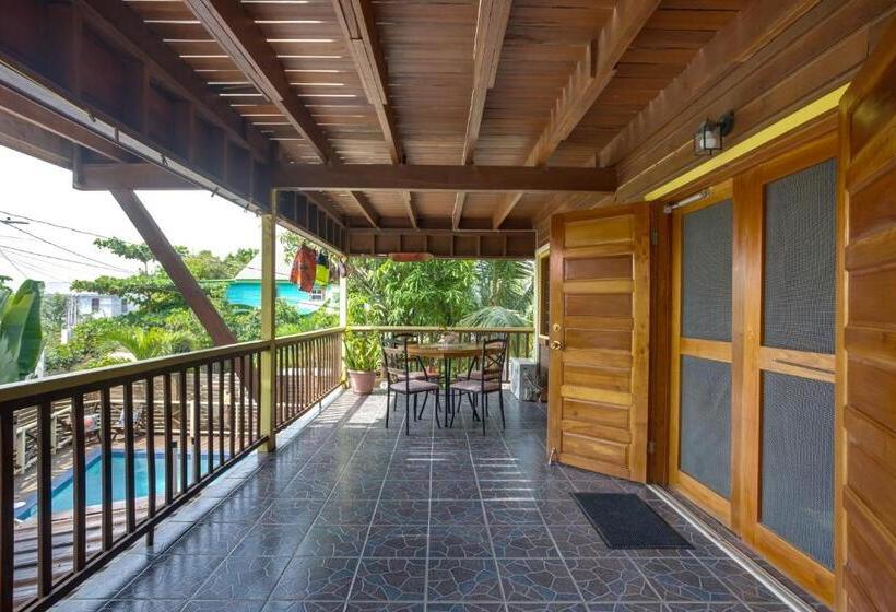 پانسیون Driftwood Gardens Guesthouse