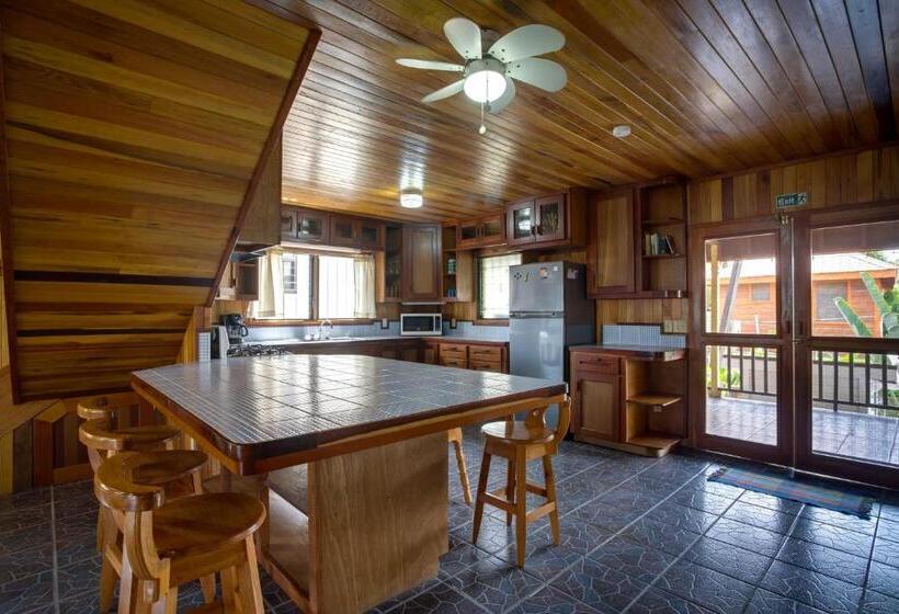 پانسیون Driftwood Gardens Guesthouse