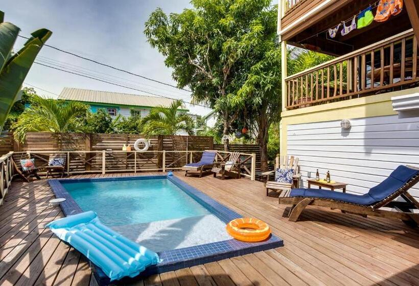 پانسیون Driftwood Gardens Guesthouse