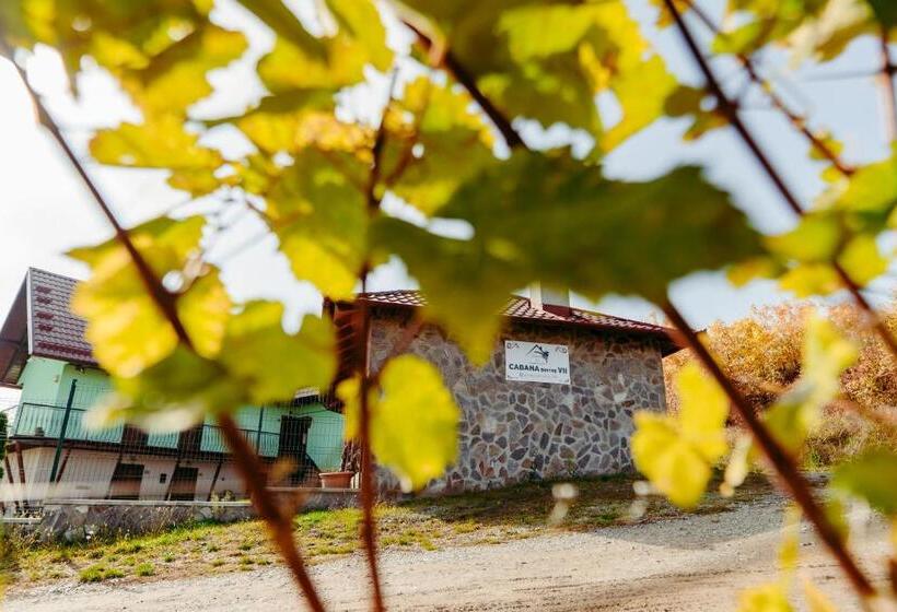 פנסיון Cabana Dintre Vii