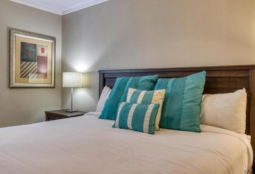 منتجع The New Hotel Collection Beachfront