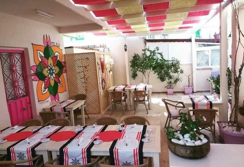 مبيت وإفطار Alba Otel