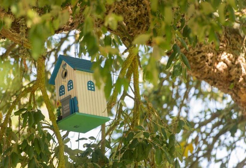 بنسيون Herdade Do Vale Da Abelheira By Mystay