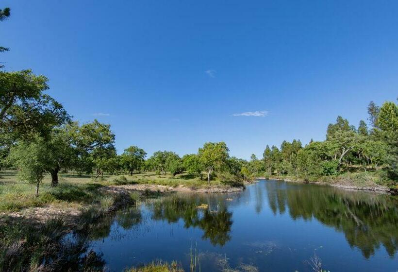 بنسيون Herdade Do Vale Da Abelheira By Mystay