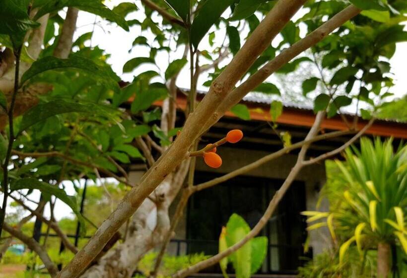 تختخواب و صبحانه Annie Meen S Place Koh Yao Noi