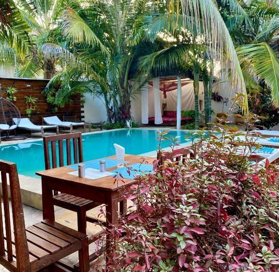 فندق Cezere The Palm