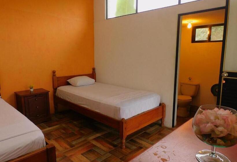 Отель Puerto Quito Lodge