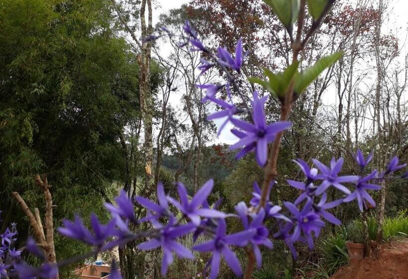 ユースホステル Pousada Vilarejo Das Oliveiras