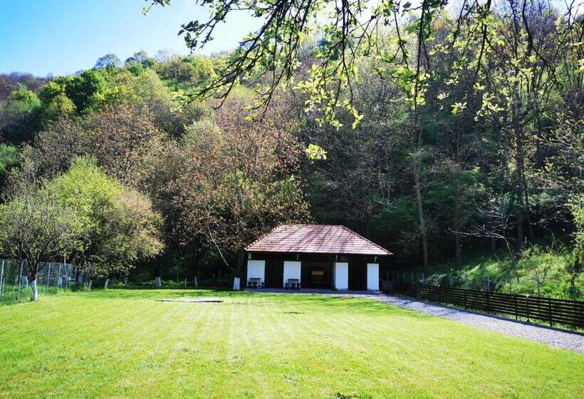 پانسیون Mateo Transalpina