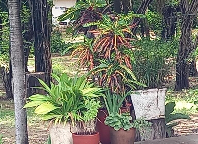 مبيت وإفطار La Veranera, Playa El Coco