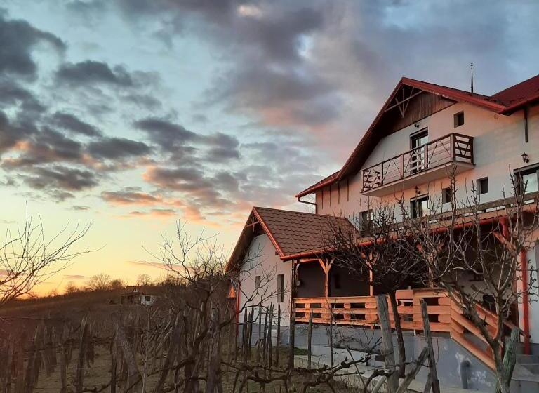 Bed and Breakfast Panorama Cehu Silvaniei