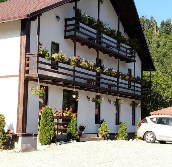 Отель Casa Ursului
