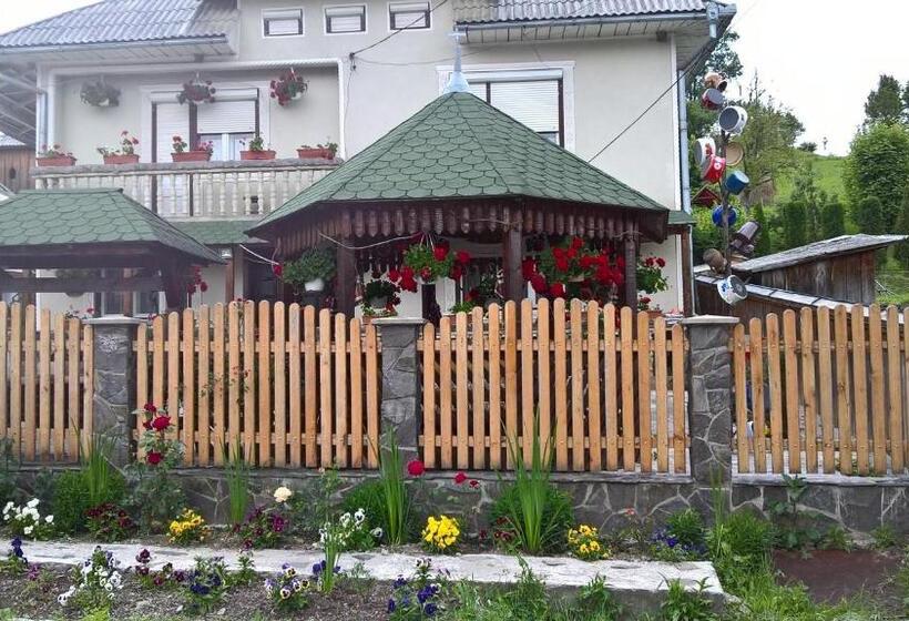 Пансион Casa Ionela Petreus