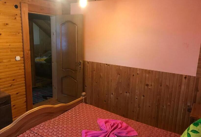 ペンション Shelest Vody