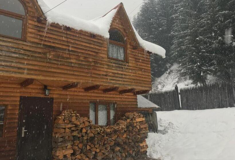 ペンション Shelest Vody