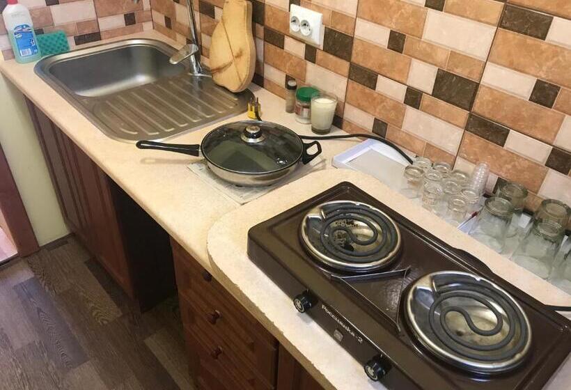 ペンション Shelest Vody