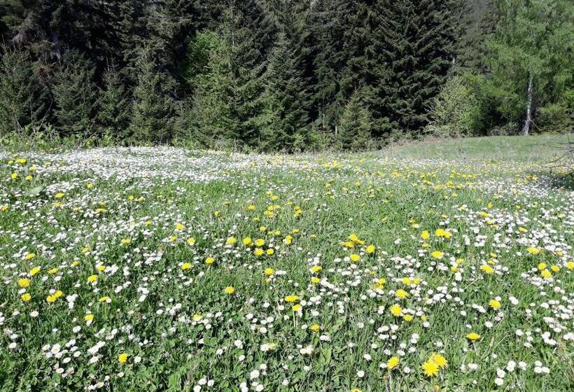 فندق صغير Eco Resort Nad Karpatamy