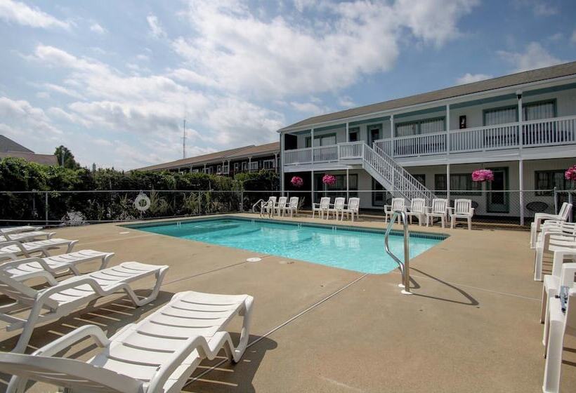 Dolphyn Motel