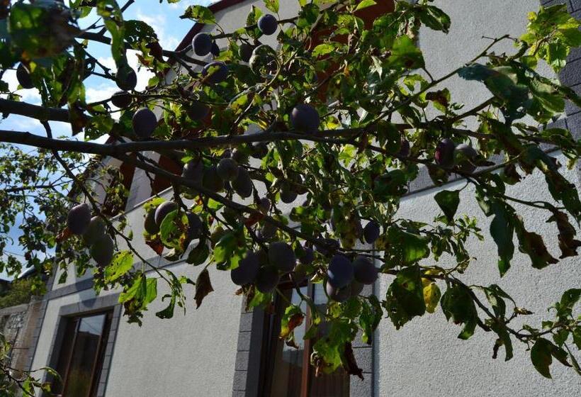 Green Dilijan B&b