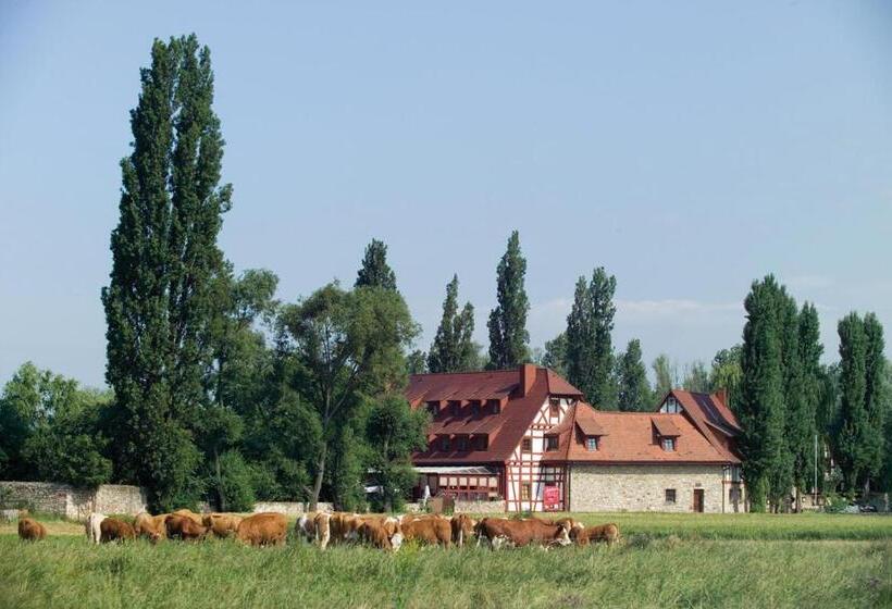 בית מלון כפרי Jordan's Untermühle