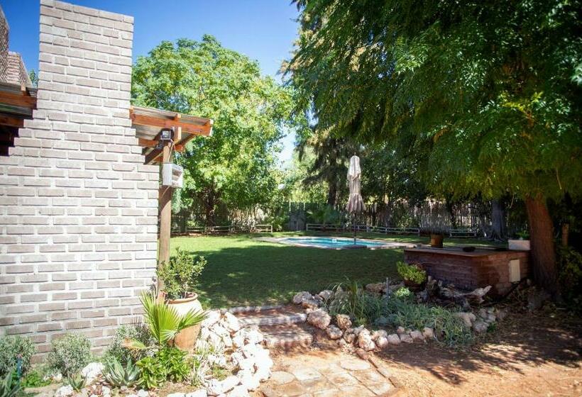 ペンション Kalahari Camelthorn Guesthouse And Camping