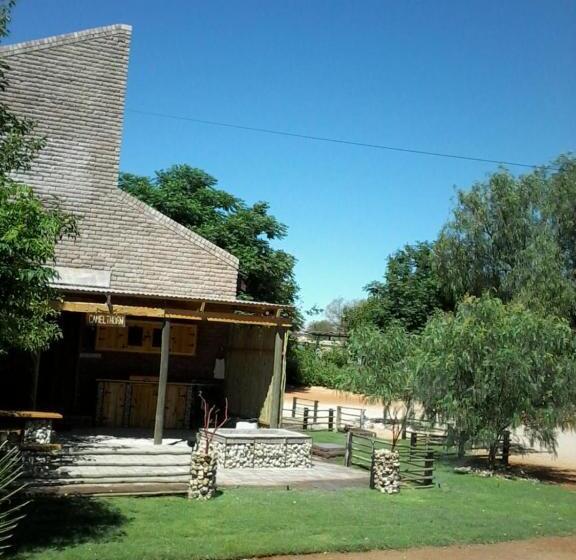 ペンション Kalahari Camelthorn Guesthouse And Camping