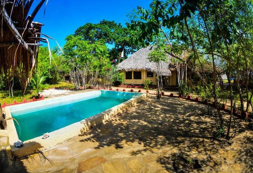 منتجع Gecko Nature Lodge Home Of Swahili Divers The Best Dive Center And Famous Gecko Restaurant