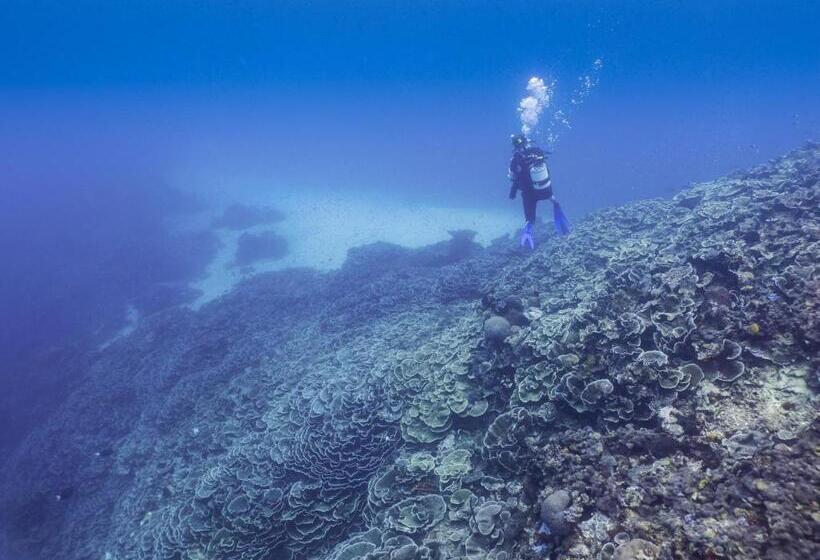 منتجع Gecko Nature Lodge Home Of Swahili Divers The Best Dive Center And Famous Gecko Restaurant