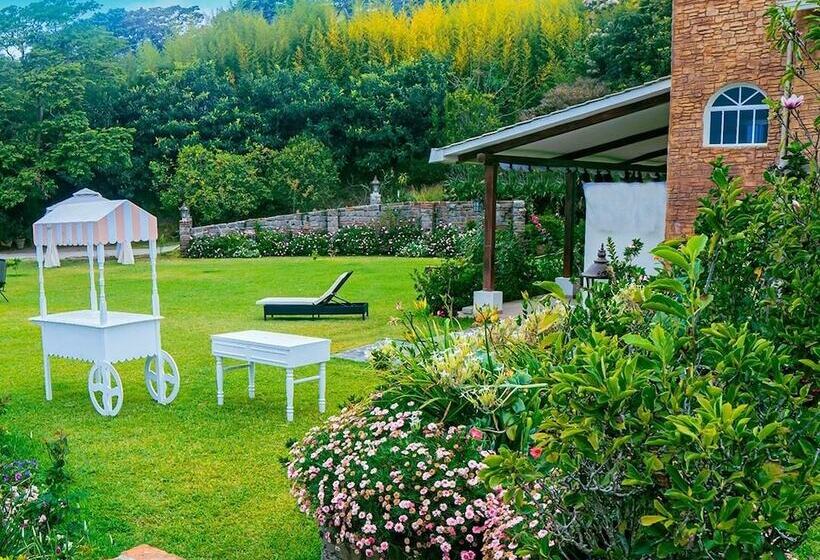 Verdant Hotel & Holistic Experience