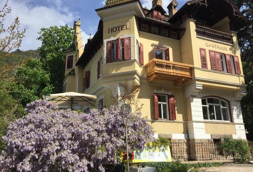 Общежитие Vintage Castle Schlosshof B&b