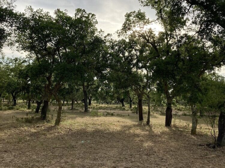 צימר Quinta Da Varzea