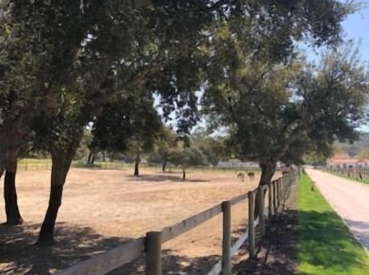 צימר Quinta Da Varzea