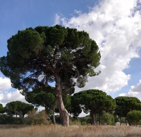 צימר Quinta Da Varzea