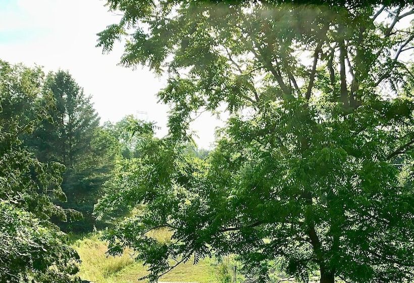 Harlem Stonegate B&b