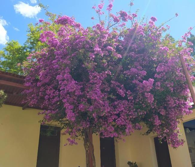 فندق La Posada De Ofelia