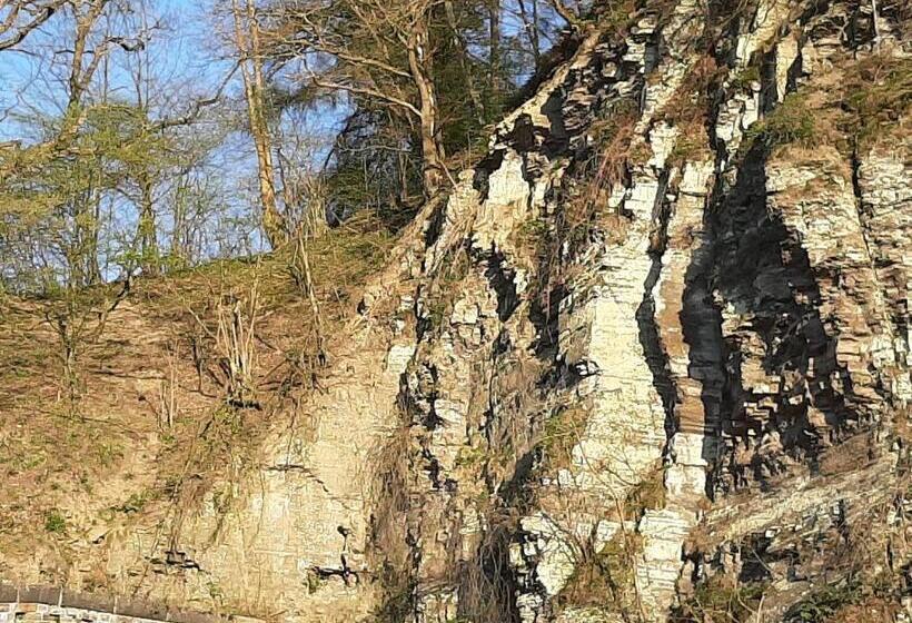 Garni Hotel Schäfer