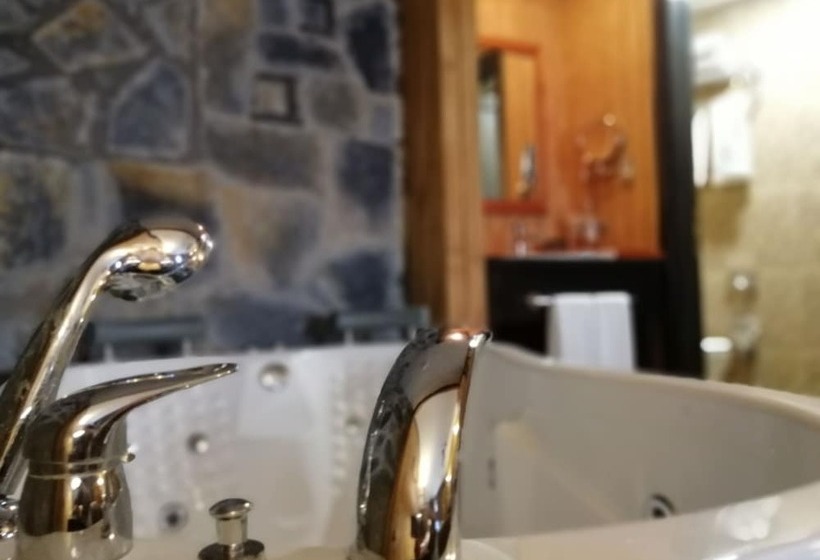 فندق The Swanpark