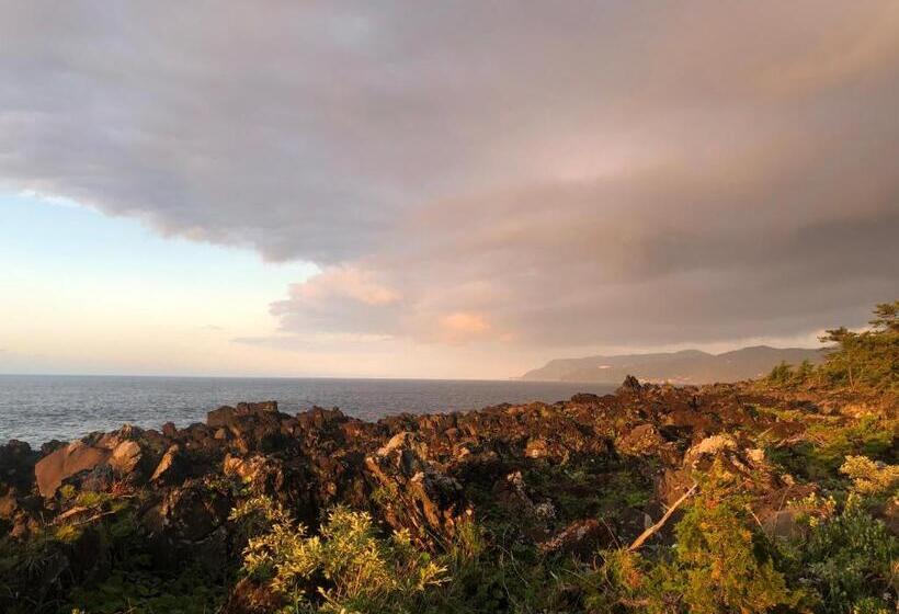 פנסיון 伊道荘園