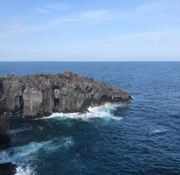 פנסיון 伊道荘園